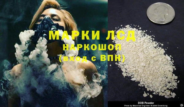 тгк Новозыбков