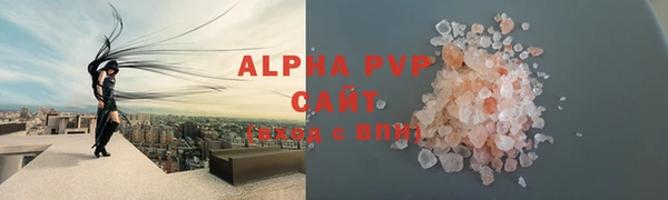 хмурый Нефтекумск