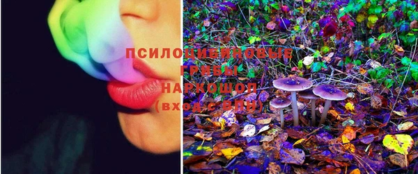 тгк Новозыбков
