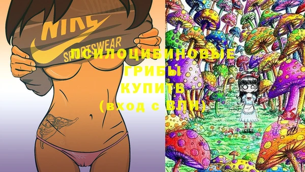 тгк Новозыбков