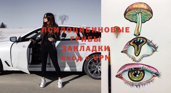 хмурый Нефтекумск