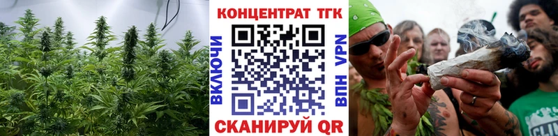 OMG ONION  Тимашёвск  Дистиллят ТГК THC oil 